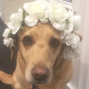 Meet your Posher, Maggie